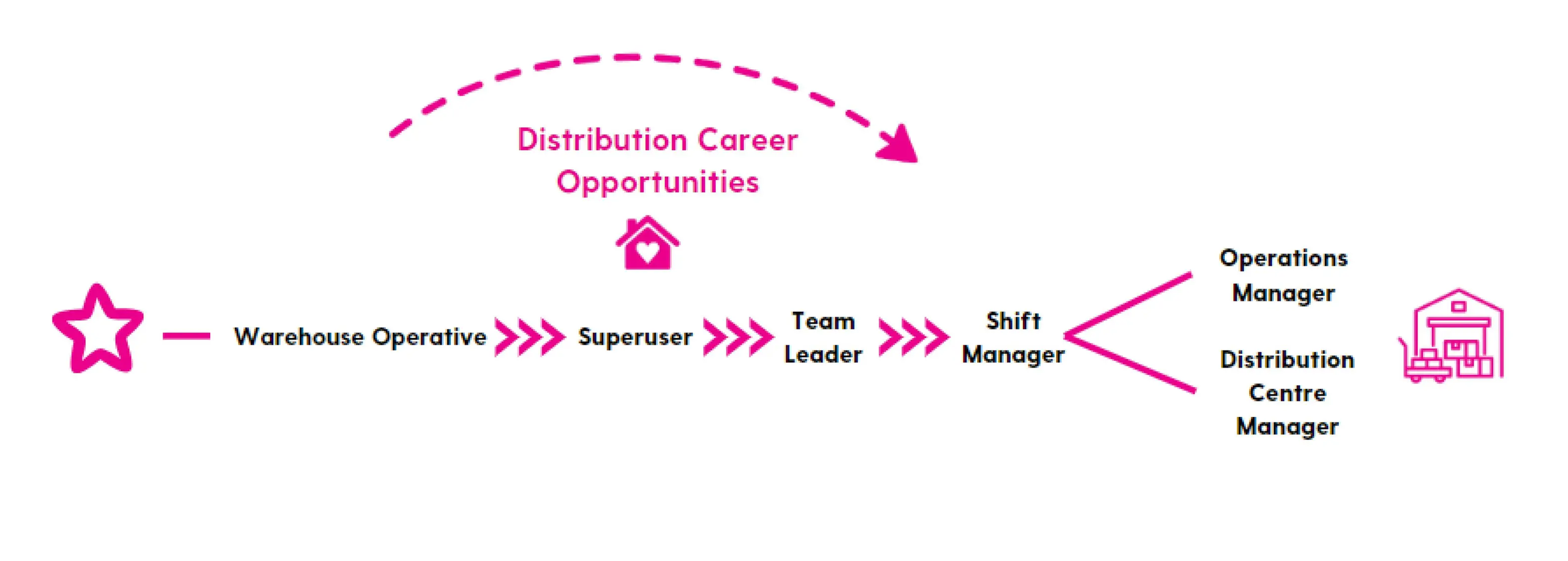 Career progression from Warehouse Operative to Distribution Centre Manager, with opportunities for advancement and training.